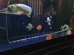 -长赢养生(平度店)