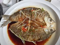 -楚鱼王·河鲜·湖北菜(华农店)