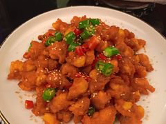-巴特餐饮6加1音乐餐吧·新疆菜