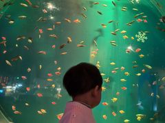 -华夏文旅海洋公园