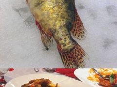 -万宝海鲜舫(劳动公园店)