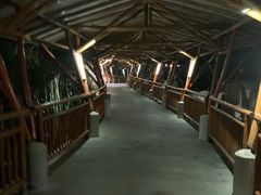 -海口观澜湖火山温泉谷