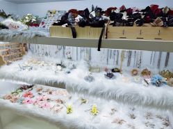 -芳妮豆丁家庭影像馆(宝安店)
