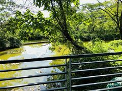 -绍兴鉴湖君澜大酒店