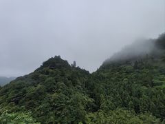 -娄山关景区