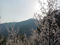 -北京西山国家森林公园