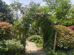 -铁山坪森林公园