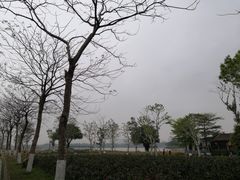 -海珠湖公园