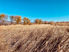 -野鸭湖国家湿地公园