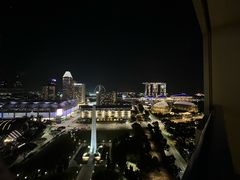 -新加坡瑞士史丹福酒店