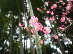 -径山寺