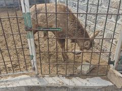 -清风小镇闯关东影视基地