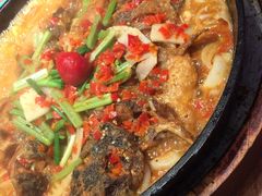 -老板恋上鱼(恒隆广场店)