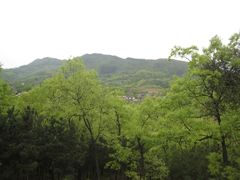 -武侯墓风景区