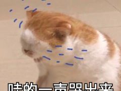 -二钢串叔麻辣烫(华龙大厦店)
