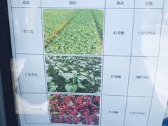 -菊园百果园