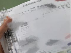 -北京观赏动物医院·24小时大型综合·猫专科·异宠专科