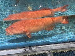 -好兄弟郭巨海鲜(天一阁店)