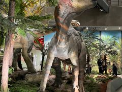 -湖南省地质博物馆