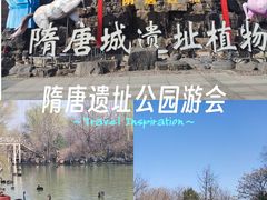 -洛阳市隋唐城遗址植物园