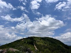 -长虫山生态公园风景林