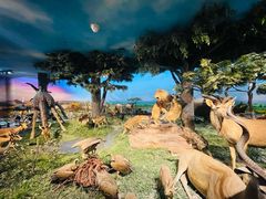 -国家自然博物馆