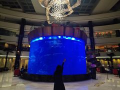 -佛山希尔顿酒店·融誉亚洲美食荟