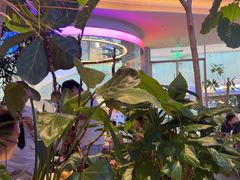 -桂满陇·杭州饭店(清河万象店)