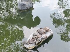 -龙华寺