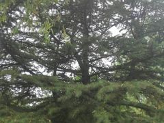 -中国石油大学（北京）(北京西校区)