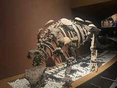 景点-大同市博物馆