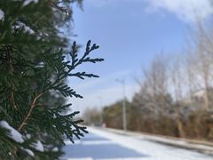 -中国人民抗日战争纪念雕塑园