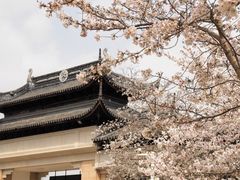 -苏州上方山国家森林公园