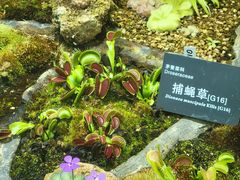 -国家植物园南园