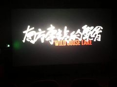 -中影嘉华国际影城(大芬星都里店)