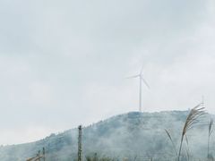 -东白山