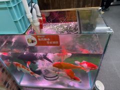 -老姐石板烧烤+铜炭火锅(总店)
