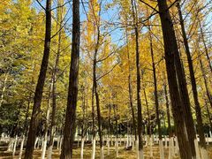 -艾溪湖湿地公园