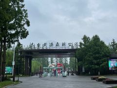 -黄海国家森林公园