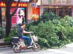 -十九路军淞沪抗日阵亡将士陵园