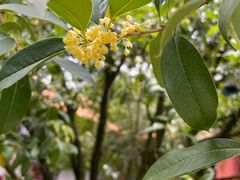 -昆明市金殿名胜区