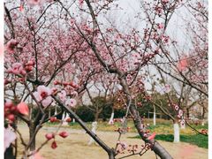 -白塘生态植物园