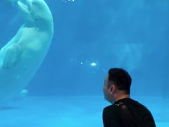 -华夏文旅海洋公园