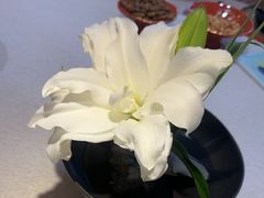 -九福楼大酒店