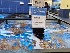 -盒马X会员店(王府井奥莱UP TOWN店)