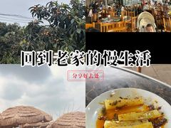 -桃源山庄·水蜜桃采摘·柴火鸡·烧烤团建(龙泉山店)