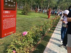 -北京大葆台遗址博物馆