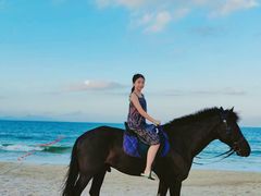 -玫瑰海岸文化旅游度假区