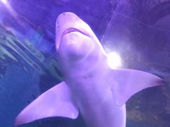 -常州海昌海洋探索馆