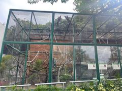 -石排湾郊野公园